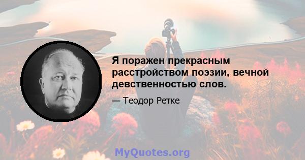 Я поражен прекрасным расстройством поэзии, вечной девственностью слов.