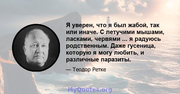 Я уверен, что я был жабой, так или иначе. С летучими мышами, ласками, червями ... я радуюсь родственным. Даже гусеница, которую я могу любить, и различные паразиты.