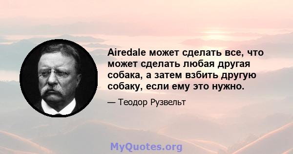 Airedale может сделать все, что может сделать любая другая собака, а затем взбить другую собаку, если ему это нужно.