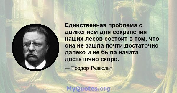 Единственная проблема с движением для сохранения наших лесов состоит в том, что она не зашла почти достаточно далеко и не была начата достаточно скоро.