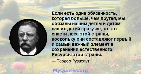 Если есть одна обязанность, которая больше, чем другая, мы обязаны нашим детям и детям наших детей сразу же, то это спасти леса этой страны, поскольку они составляют первый и самый важный элемент в сохранении