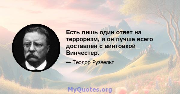 Есть лишь один ответ на терроризм, и он лучше всего доставлен с винтовкой Винчестер.