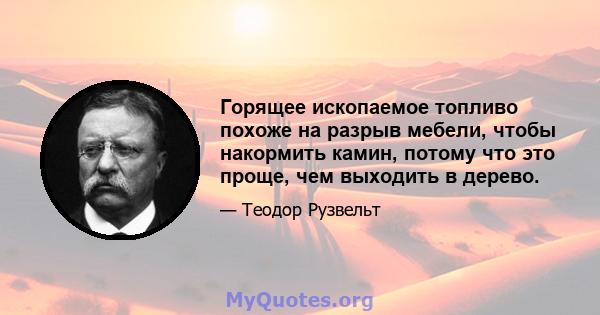 Горящее ископаемое топливо похоже на разрыв мебели, чтобы накормить камин, потому что это проще, чем выходить в дерево.