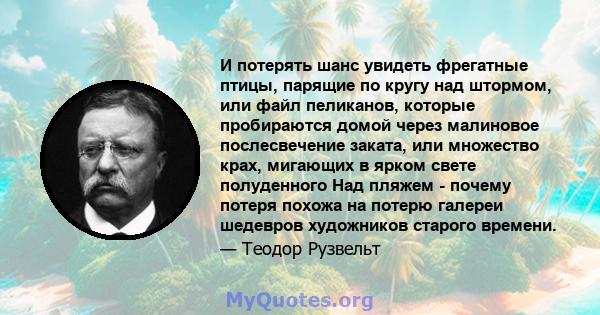 И потерять шанс увидеть фрегатные птицы, парящие по кругу над штормом, или файл пеликанов, которые пробираются домой через малиновое послесвечение заката, или множество крах, мигающих в ярком свете полуденного Над