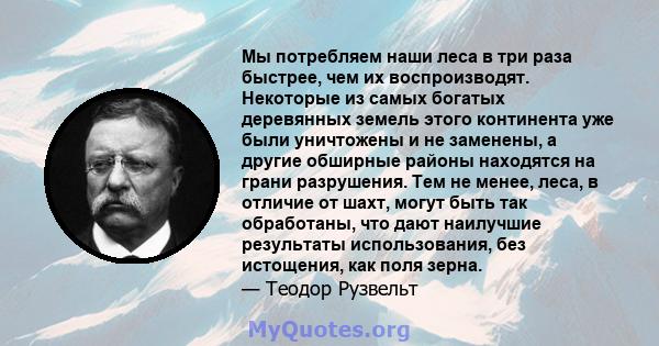 Мы потребляем наши леса в три раза быстрее, чем их воспроизводят. Некоторые из самых богатых деревянных земель этого континента уже были уничтожены и не заменены, а другие обширные районы находятся на грани разрушения.