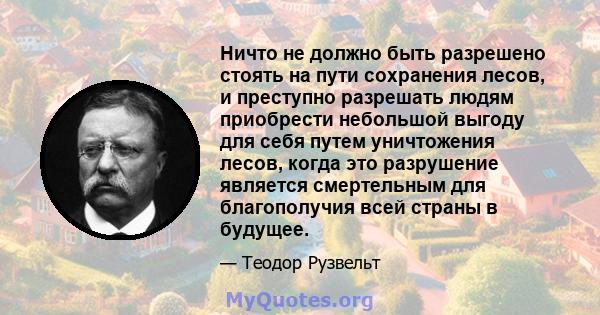 Ничто не должно быть разрешено стоять на пути сохранения лесов, и преступно разрешать людям приобрести небольшой выгоду для себя путем уничтожения лесов, когда это разрушение является смертельным для благополучия всей