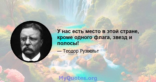 У нас есть место в этой стране, кроме одного флага, звезд и полосы!