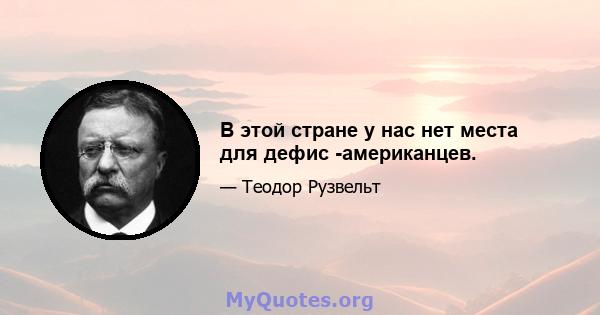 В этой стране у нас нет места для дефис -американцев.