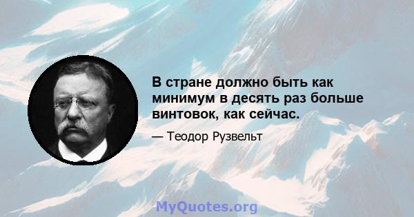 В стране должно быть как минимум в десять раз больше винтовок, как сейчас.