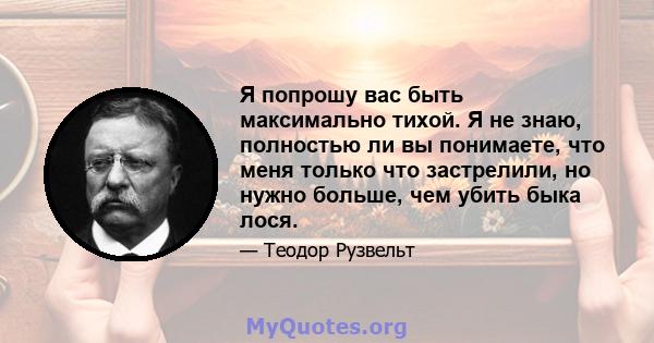 Я попрошу вас быть максимально тихой. Я не знаю, полностью ли вы понимаете, что меня только что застрелили, но нужно больше, чем убить быка лося.