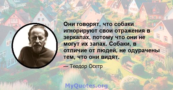 Они говорят, что собаки игнорируют свои отражения в зеркалах, потому что они не могут их запах. Собаки, в отличие от людей, не одурачены тем, что они видят.