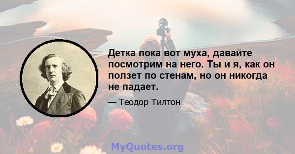 Детка пока вот муха, давайте посмотрим на него. Ты и я, как он ползет по стенам, но он никогда не падает.