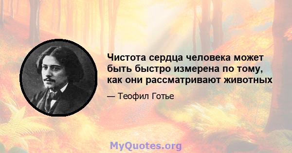 Чистота сердца человека может быть быстро измерена по тому, как они рассматривают животных