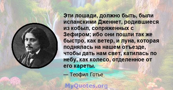 Эти лошади, должно быть, были испанскими Дженнет, родившиеся из кобыл, сопряженных с Зефиром; ибо они пошли так же быстро, как ветер, и луна, которая поднялась на нашем отъезде, чтобы дать нам свет, катилась по небу,