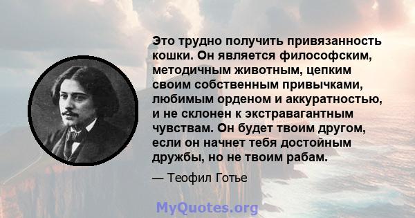 Это трудно получить привязанность кошки. Он является философским, методичным животным, цепким своим собственным привычками, любимым орденом и аккуратностью, и не склонен к экстравагантным чувствам. Он будет твоим