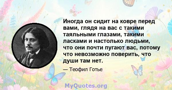 Иногда он сидит на ковре перед вами, глядя на вас с такими таяльными глазами, такими ласками и настолько людьми, что они почти пугают вас, потому что невозможно поверить, что души там нет.