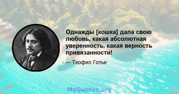 Однажды [кошка] дала свою любовь, какая абсолютная уверенность, какая верность привязанности!