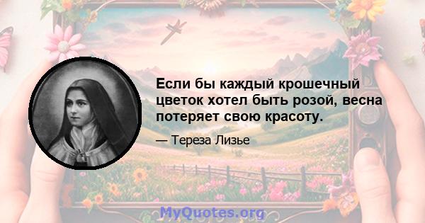 Если бы каждый крошечный цветок хотел быть розой, весна потеряет свою красоту.