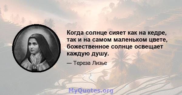 Когда солнце сияет как на кедре, так и на самом маленьком цвете, божественное солнце освещает каждую душу.