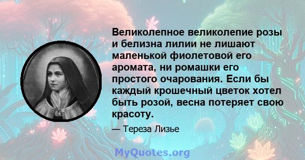 Великолепное великолепие розы и белизна лилии не лишают маленькой фиолетовой его аромата, ни ромашки его простого очарования. Если бы каждый крошечный цветок хотел быть розой, весна потеряет свою красоту.