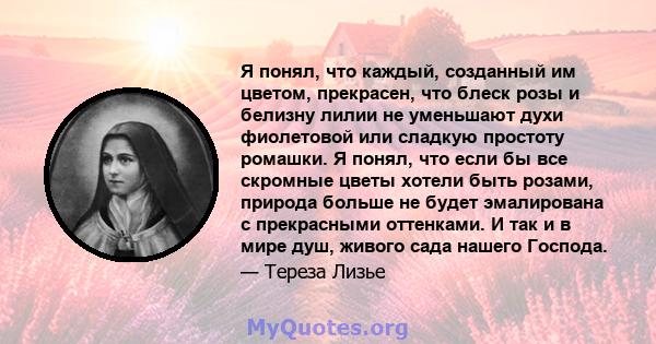 Я понял, что каждый, созданный им цветом, прекрасен, что блеск розы и белизну лилии не уменьшают духи фиолетовой или сладкую простоту ромашки. Я понял, что если бы все скромные цветы хотели быть розами, природа больше