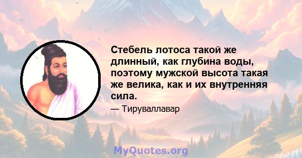 Стебель лотоса такой же длинный, как глубина воды, поэтому мужской высота такая же велика, как и их внутренняя сила.