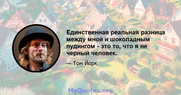 Единственная реальная разница между мной и шоколадным пудингом - это то, что я не черный человек.