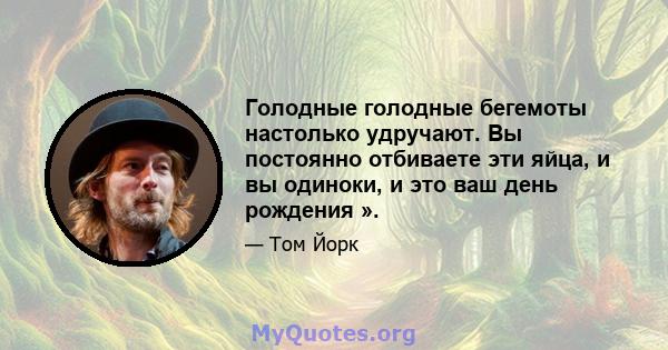 Голодные голодные бегемоты настолько удручают. Вы постоянно отбиваете эти яйца, и вы одиноки, и это ваш день рождения ».