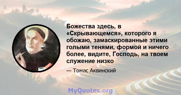 Божества здесь, в «Скрывающемся», которого я обожаю, замаскированные этими голыми тенями, формой и ничего более, видите, Господь, на твоем служение низко