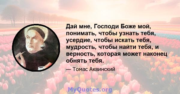 Дай мне, Господи Боже мой, понимать, чтобы узнать тебя, усердие, чтобы искать тебя, мудрость, чтобы найти тебя, и верность, которая может наконец обнять тебя.