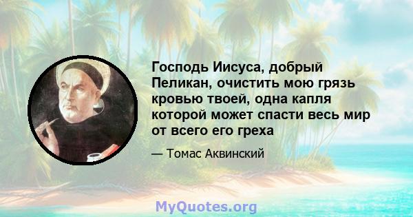 Господь Иисуса, добрый Пеликан, очистить мою грязь кровью твоей, одна капля которой может спасти весь мир от всего его греха