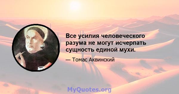 Все усилия человеческого разума не могут исчерпать сущность единой мухи.