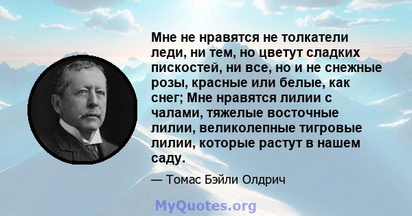 Мне не нравятся не толкатели леди, ни тем, но цветут сладких пискостей, ни все, но и не снежные розы, красные или белые, как снег; Мне нравятся лилии с чалами, тяжелые восточные лилии, великолепные тигровые лилии,