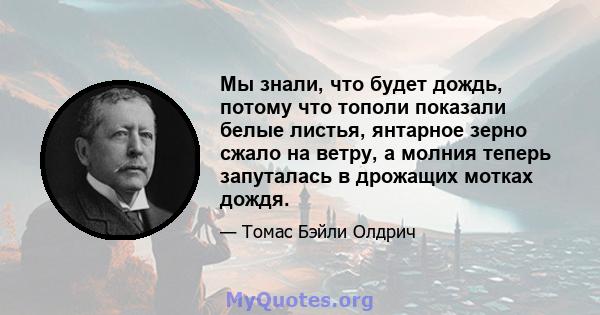 Мы знали, что будет дождь, потому что тополи показали белые листья, янтарное зерно сжало на ветру, а молния теперь запуталась в дрожащих мотках дождя.