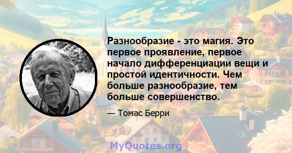 Разнообразие - это магия. Это первое проявление, первое начало дифференциации вещи и простой идентичности. Чем больше разнообразие, тем больше совершенство.