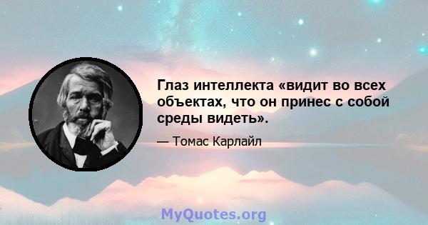 Глаз интеллекта «видит во всех объектах, что он принес с собой среды видеть».