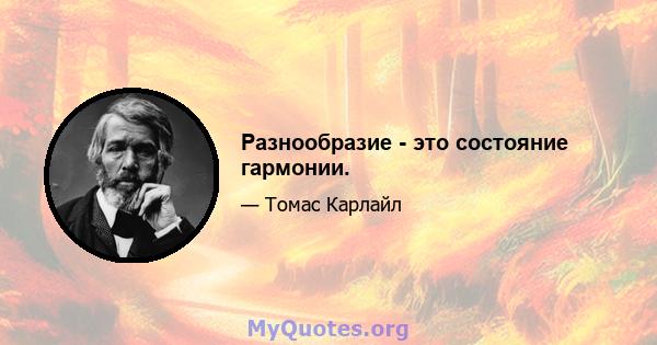 Разнообразие - это состояние гармонии.