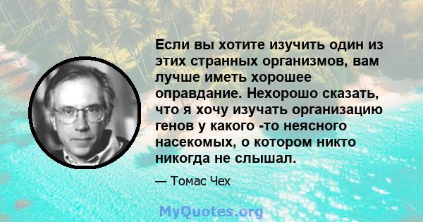 Если вы хотите изучить один из этих странных организмов, вам лучше иметь хорошее оправдание. Нехорошо сказать, что я хочу изучать организацию генов у какого -то неясного насекомых, о котором никто никогда не слышал.