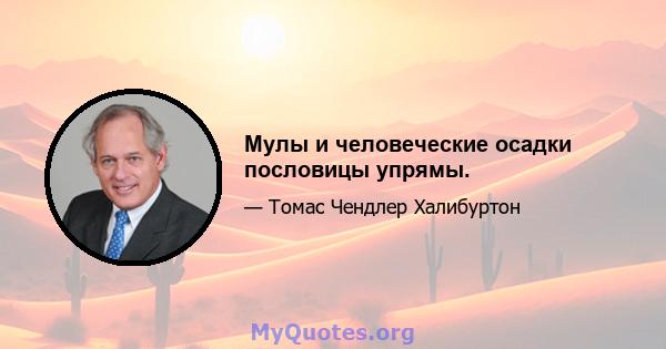 Мулы и человеческие осадки пословицы упрямы.