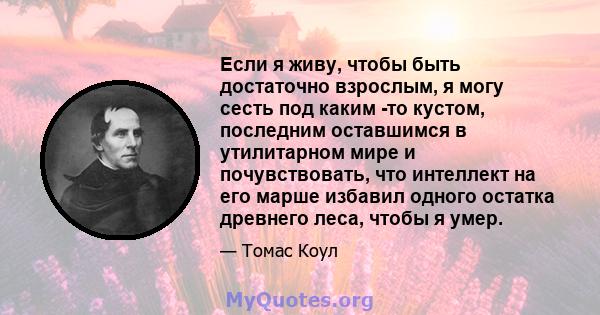 Если я живу, чтобы быть достаточно взрослым, я могу сесть под каким -то кустом, последним оставшимся в утилитарном мире и почувствовать, что интеллект на его марше избавил одного остатка древнего леса, чтобы я умер.