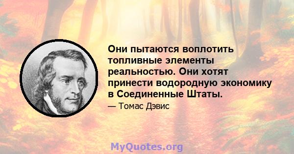 Они пытаются воплотить топливные элементы реальностью. Они хотят принести водородную экономику в Соединенные Штаты.