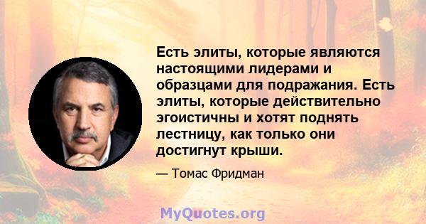 Есть элиты, которые являются настоящими лидерами и образцами для подражания. Есть элиты, которые действительно эгоистичны и хотят поднять лестницу, как только они достигнут крыши.