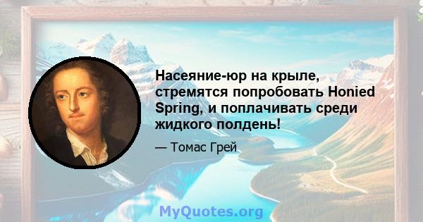 Насеяние-юр на крыле, стремятся попробовать Honied Spring, и поплачивать среди жидкого полдень!