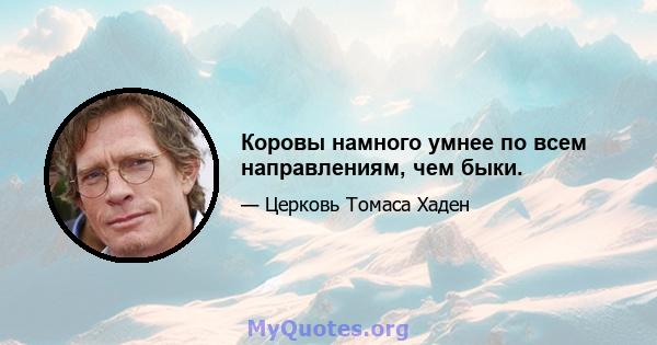 Коровы намного умнее по всем направлениям, чем быки.