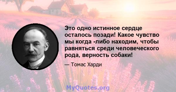 Это одно истинное сердце осталось позади! Какое чувство мы когда -либо находим, чтобы равняться среди человеческого рода, верность собаки!