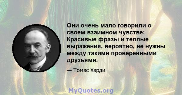 Они очень мало говорили о своем взаимном чувстве; Красивые фразы и теплые выражения, вероятно, не нужны между такими проверенными друзьями.