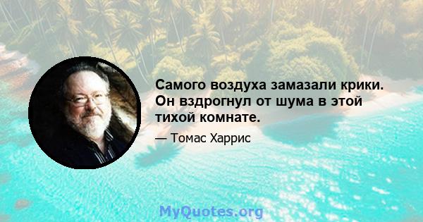 Самого воздуха замазали крики. Он вздрогнул от шума в этой тихой комнате.