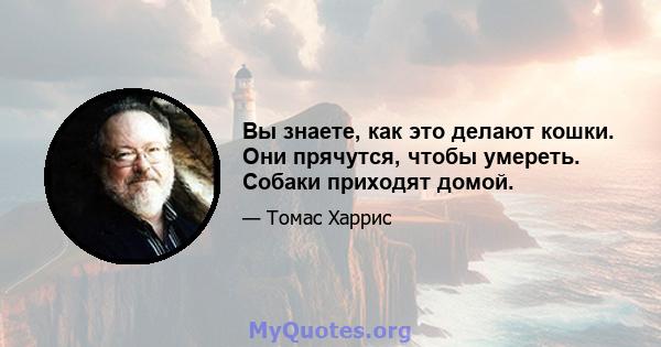 Вы знаете, как это делают кошки. Они прячутся, чтобы умереть. Собаки приходят домой.