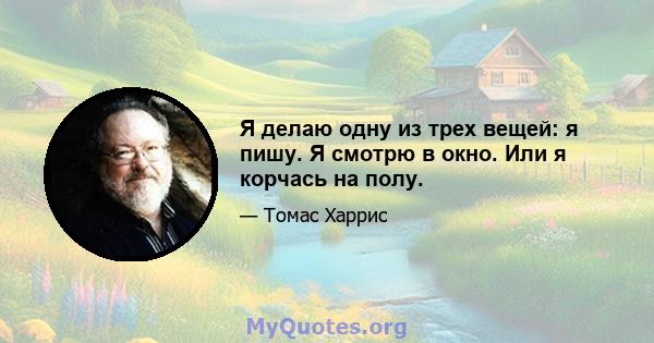 Я делаю одну из трех вещей: я пишу. Я смотрю в окно. Или я корчась на полу.