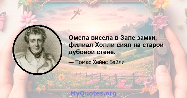 Омела висела в Зале замки, филиал Холли сиял на старой дубовой стене.